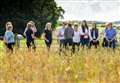 Farming: Annual Scottish farm business survey seeks your input