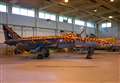 Big cat 'Spotty' coming to live at RAF Lossiemouth in Moray
