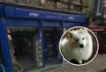 Elgin's PDSA store asks for unwanted Christmas gifts