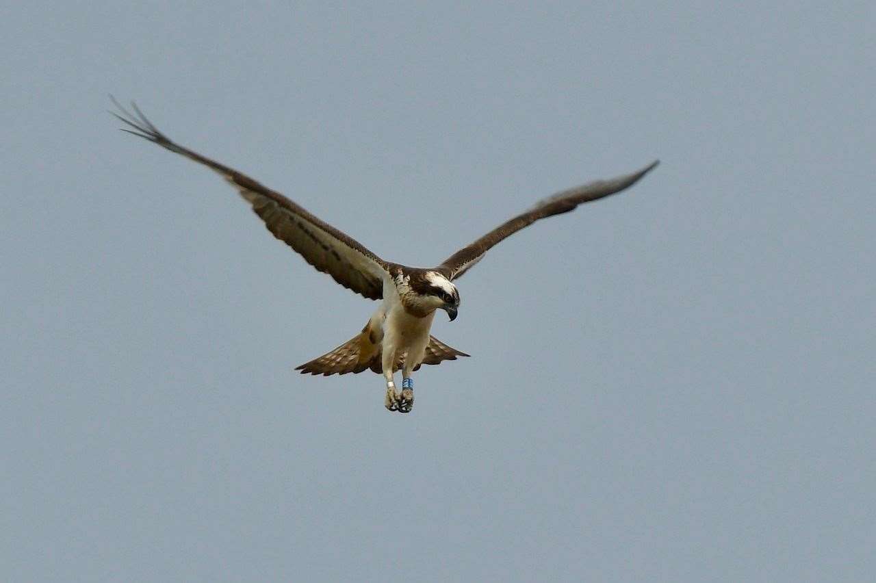 All photos by Hazel Thomson.