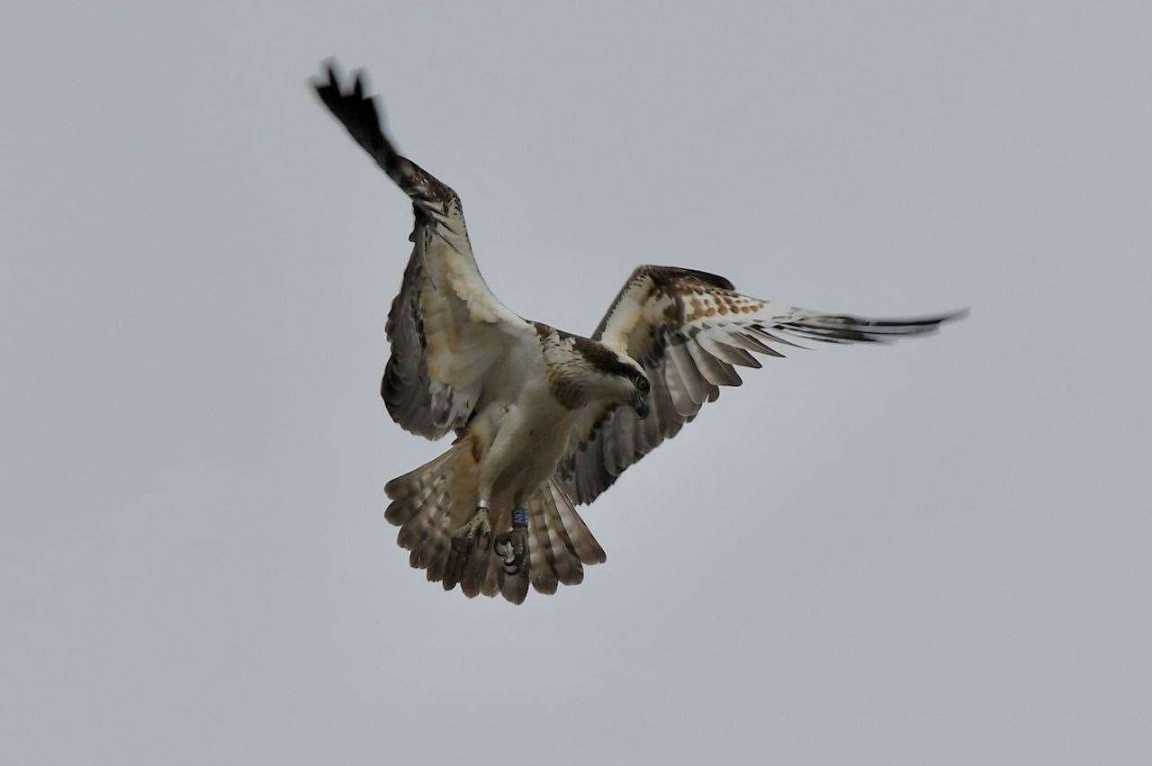 All photos by Hazel Thomson.
