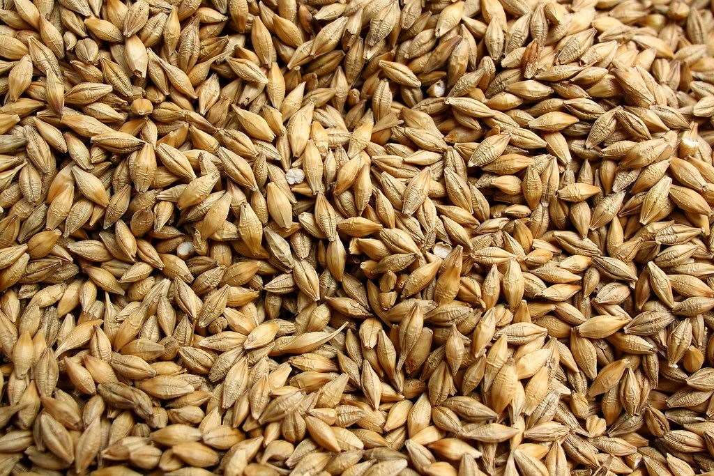 Cereal yield has been affected by a challenging summer. Picture: David Porter