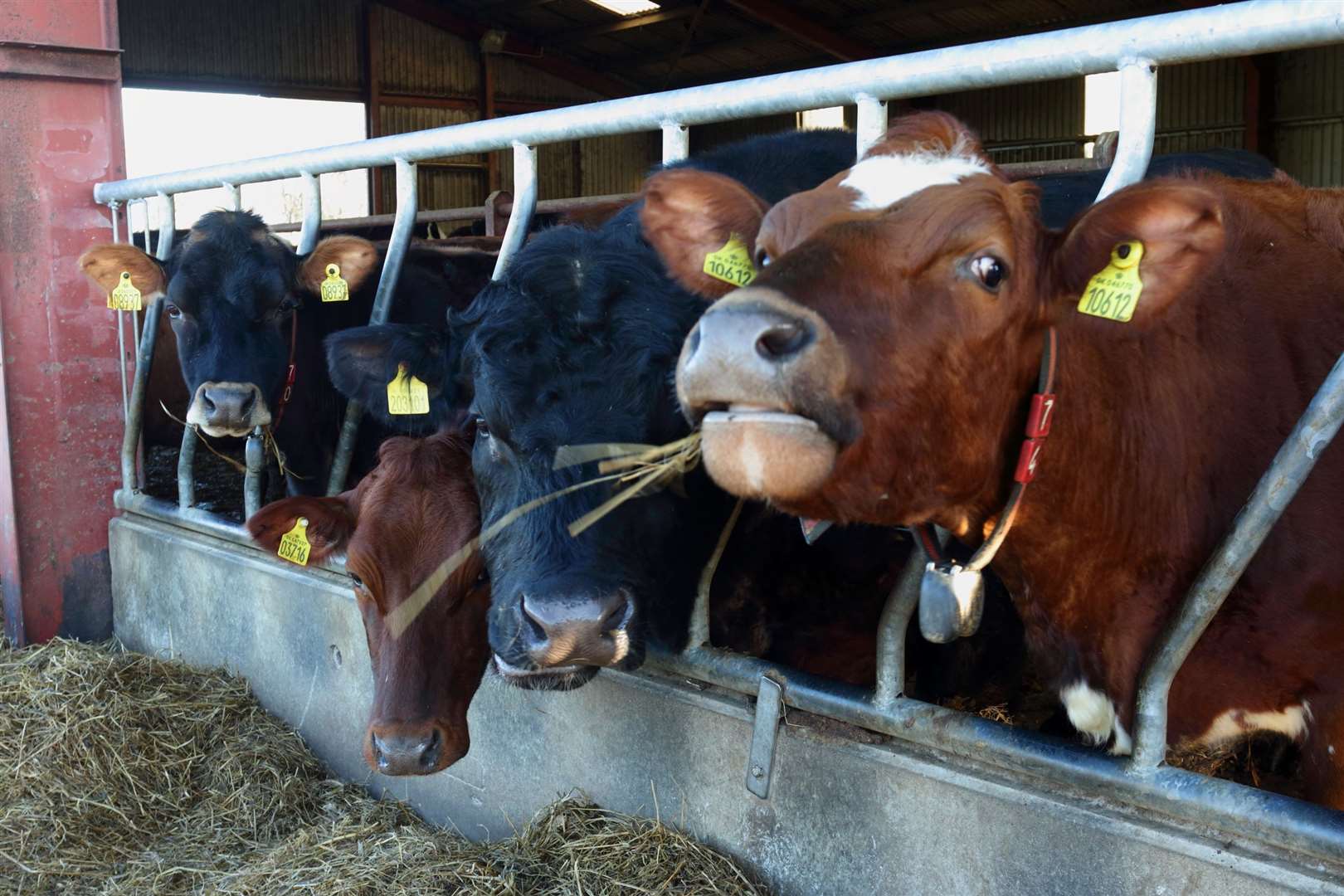 Farm incomes have risen in the last 12 months. Picture: David Porter