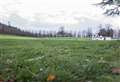 Moray-based nursery Earthtime announces free Christmas event at Grant Park for families