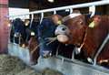 Moray farm income reaches a record high 