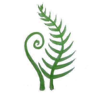 The charity’s logo represents new beginnings and hope.