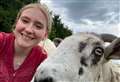 Don't be sheepish – join the flock!