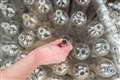 Most people support UK-wide deposit return scheme, poll finds