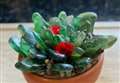 Great sea glass crafting event at Burghead Community Hall
