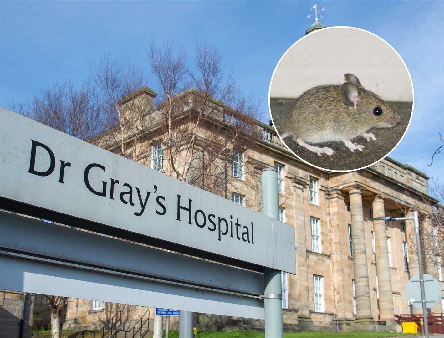 NHS Grampian says that the situation will continue to be monitored by pest control experts.