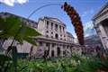 Too early for Bank to cut interest rates on Thursday, economists predict