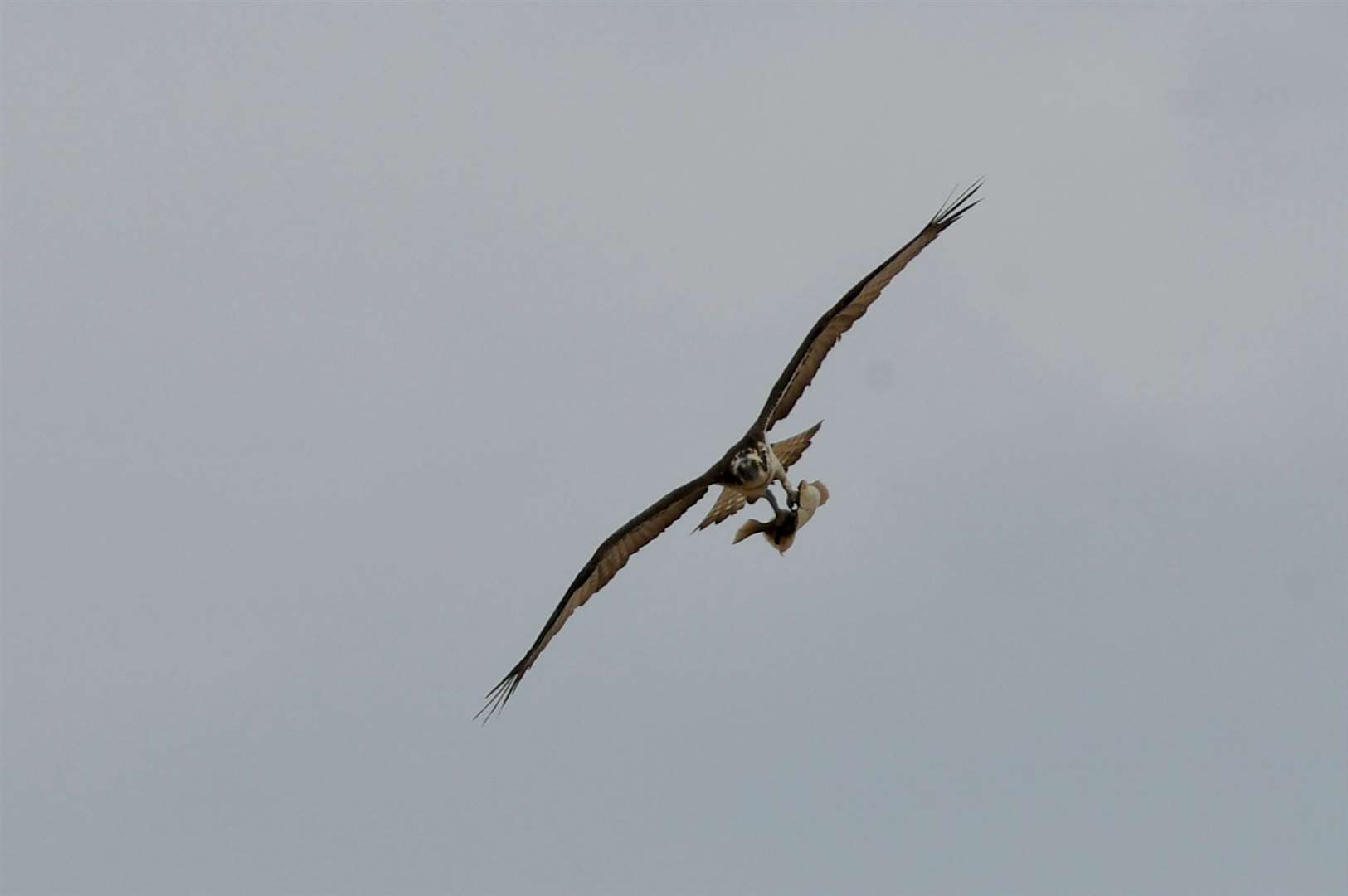 All photos by Hazel Thomson.
