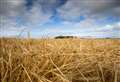 Experts set to discuss sustainability practices in the whisky industry