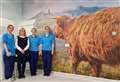 Stunning murals in hospital